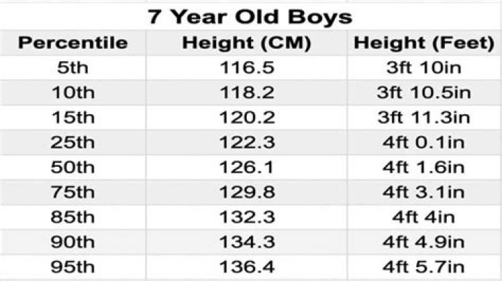 Nazan Eckes Height, Weight, Body Measurements, Bra Size, Shoe Size